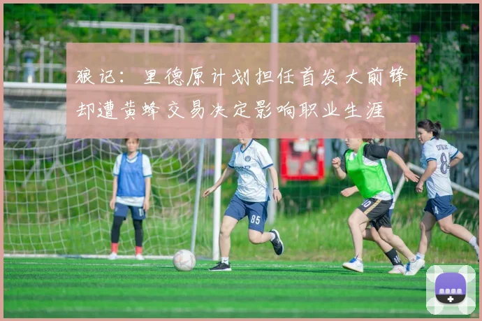 狼记：里德原计划担任首发大前锋却遭黄蜂交易决定影响职业生涯